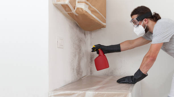 Professional Bathroom Mold Removal technician working in Frederick, MD
