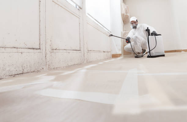 24/7 Emergency Bathroom Mold Removal experts in Frederick, MD