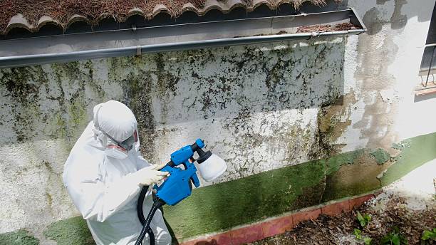 Top rated local Bathroom Mold Removal specialists in Frederick, MD